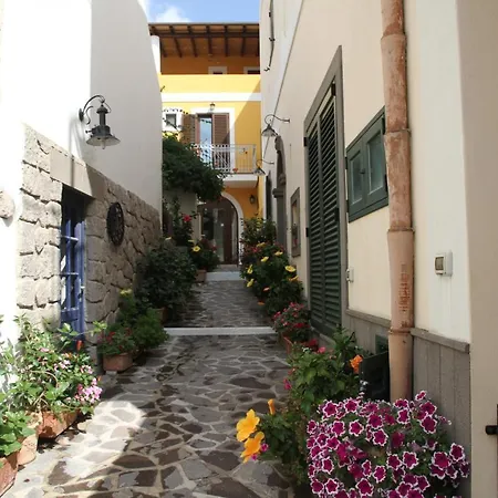 Malvasia - Il Palmento *