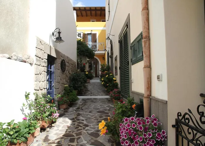 Malvasia - Il Palmento *